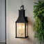 Trevett Black 58.4cm H Clear Glass Outdoor Wall Lantern