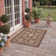 Cherene Performance Oriental Indoor/Outdoor Area Rug