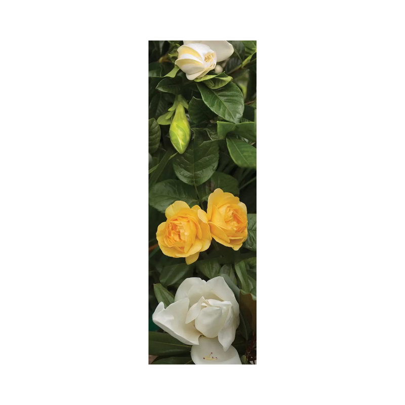 Close-Up Of White Poppies With Yellow Roses - Wrapped Canvas Panoramic Print, 152.4 cm H x 50.8 cm W x 3.175 cm D