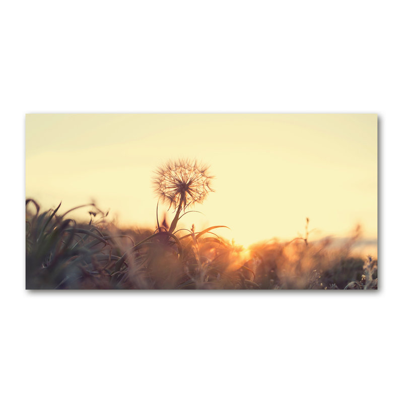 Dandelion - No Frame Print on Canvas