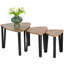 Alesandra Three Leg Coffee Table