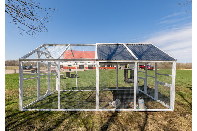 Chicken run made of white wood, chicken wire, and half covered with a tin roof