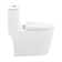 Dreux One Piece Elongated Dual Flush Toilet with 0.95/1.26 GPF