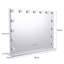 Audreyna Makeup Dressing Mirror