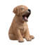 Animals Weather Resistant Polyresin Garden Statue