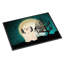 Paillasson Caillo Halloween-18737098