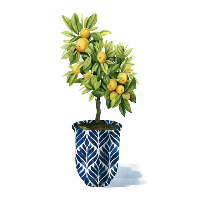 Arbre fruitier I