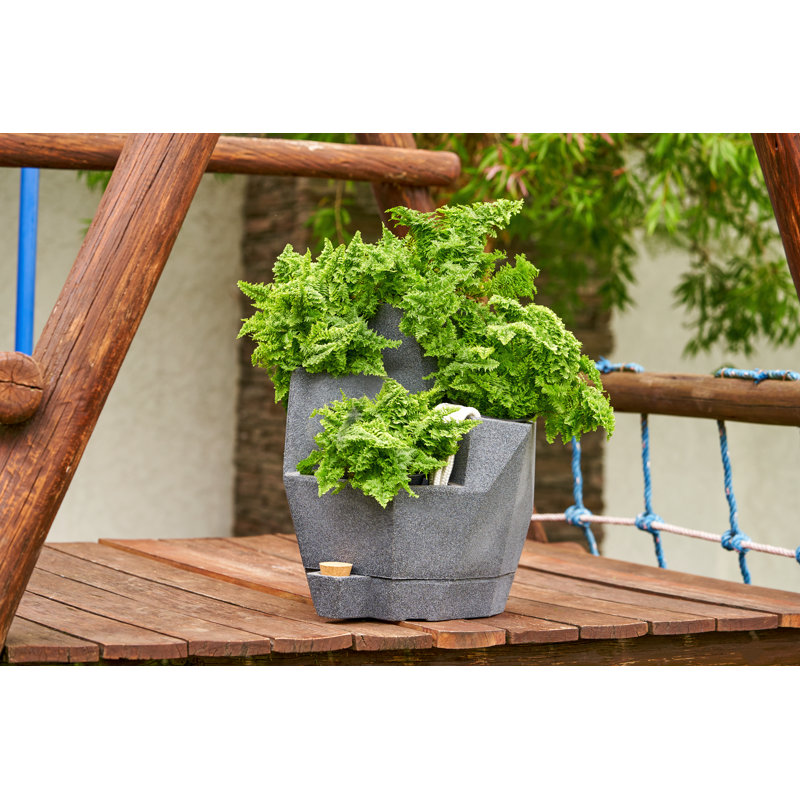 Pot à fleurs en polyéthylène pour fines herbes à arrosage automatique Encinas, Gris anthracite, Petit