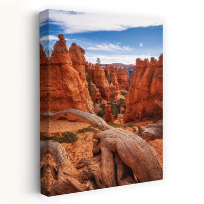 Canyon Weathered Wood - Contemporary Photography Landscape Bryce Canyon National Park Art