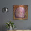 Ivy Bronx «Sunny Scallop» par St. Hilaire Elizabeth, art mural en métal-48973907