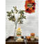 Arrosage loquat à chute de fruits faux-772934643
