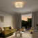 Rowan 19.5" 4-Light Modern Bohemian 6-Speed Metal/Rattan Mobile-App/Remote-Controlled Lantern LED Ceiling Fan