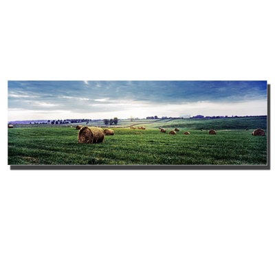 Preston - Print on Canvas