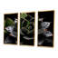 Black Blooming Cactus Photography - Floral Cactus Wall Art-286920800-286920798