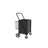 Large Shopping Cart with Brake,Grocery Cart on Wheels, Foldable Utility Shopping Carts with Double Basket and 360° Rolling Swivel Wheels for Groceries Laundry-137876895