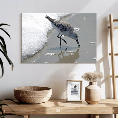 Brampt Sandpiper II