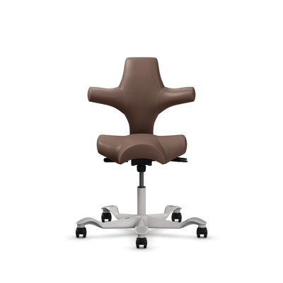 HÅG Capisco Adjustable Standard Height Chair 