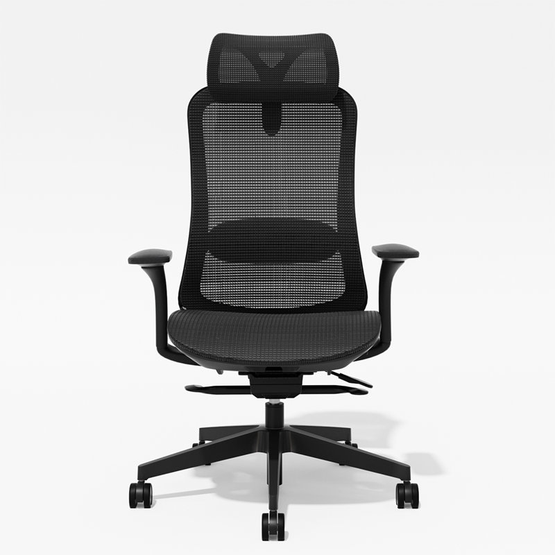 Ergonomic Mesh Task Chair, Adjustable Office Chair with 2D Headrest & 3D Armrest, Home Office Desk Chair with Lumbar Support, Recline Function