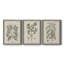 Antique Black and White Botanical VII - Ensemble de 3 reproductions d'art sur toile-282180061-282180060