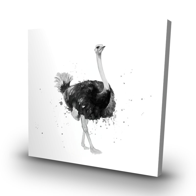 Proud ostrich - 32"x32" art on canvas
