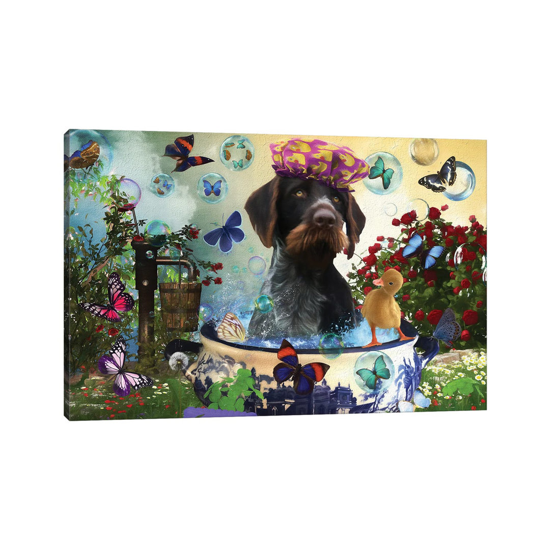 German Wirehaired Pointer Wash Your Paws