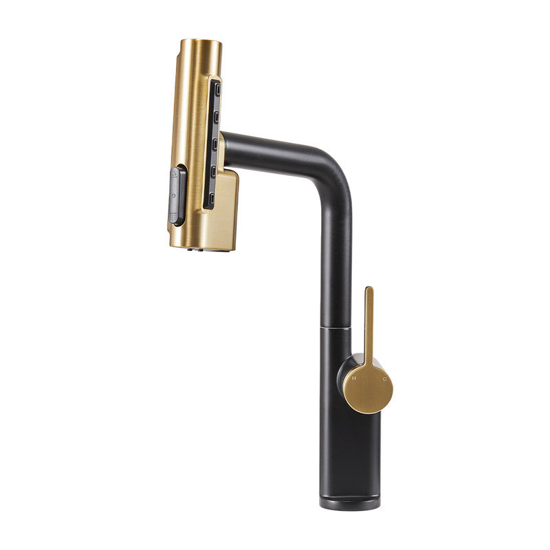 Fairmont Park Pull Out Kitchen Faucet, Gold/Matte Black