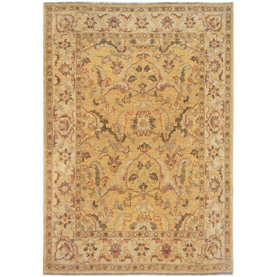 Agra Wool Oriental Indoor Rug