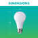 60-Watt Equivalent A19 Dimmable LED Light Bulb Contractor Pack, 2700K Soft White, 60-pack