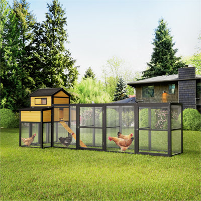 Grand poulailler en bois noir de 150 po avec poules et nichoirs, plateau coulissant, porte coulissante, grillage antidérapant pour 4 à 6 poules
