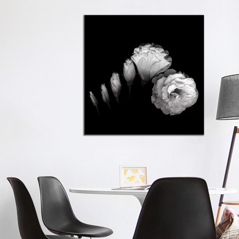 Evolution Lysianthus III, B&W by Magda Indigo - Wrapped Canvas Print, 93.98 cm H x 93.98 cm W x 1.91 cm D