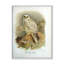 «Vintage Bird Life VII», peinture sur toile-59814559-59814565