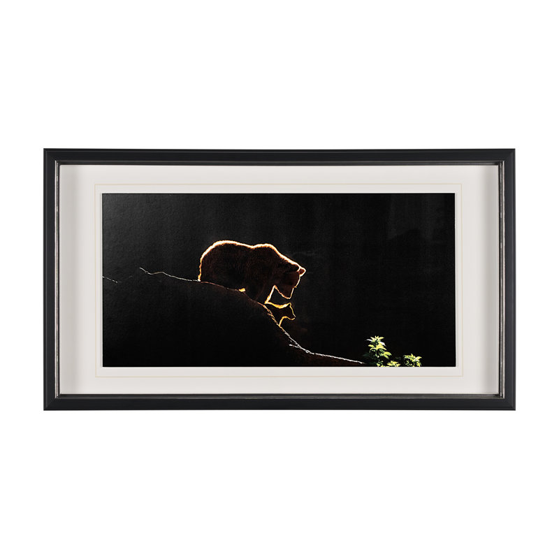 Protection by Xavier Ortega a Framed Art Print Matted under Glass