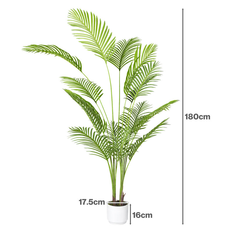 180cm Plant