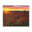 No Frame Print on Canvas-1235141404