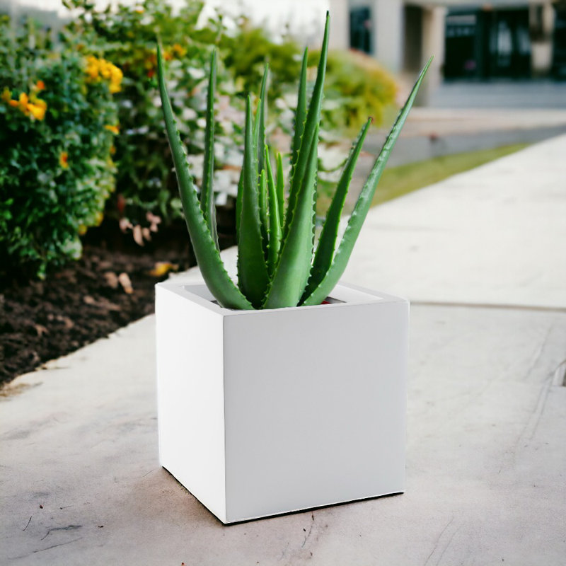 Dinalee Handmade Planter Box, White