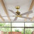 52" Modern Farmhouse Brass Ceiling Fan With Remote Control 5 Wood Blades 6 Speeds Reversible DC Motor No Light