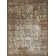 Raashid Oriental Indoor Rug