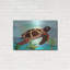 Luxe Spectrum Art «Spectrum Sea Turtle» par Lanre Adef «Spectrum Sea Turtle» par Lanre Adefioyue-101622184