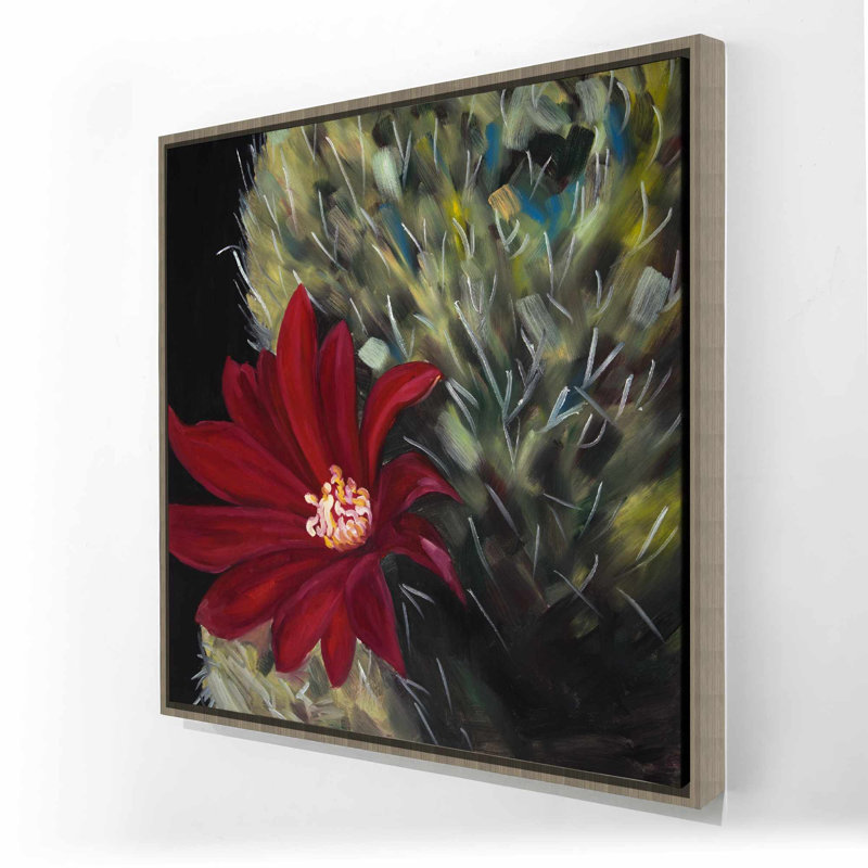 Echinopsis - fleur de cactus rouge