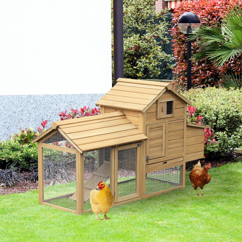 Petit poulailler 59 po: bois, construction, 2 portes, nichoir, plateau amovible pour cachette en bois 59 po - Intimité