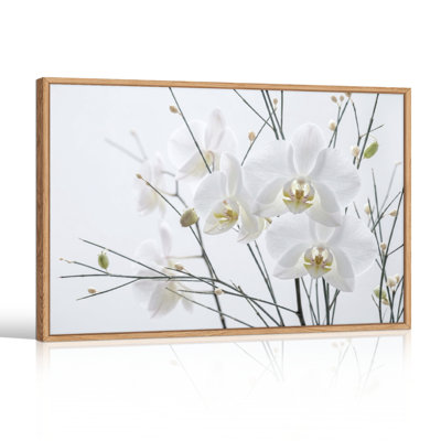 White Orchid Canvas Wall Art Set Of 1