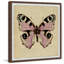 Pink And Black Spotted - Single Picture Frame Print-110876198