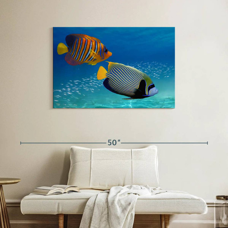 Poisson-ange exotique empereur, H 26 po x l 39 po