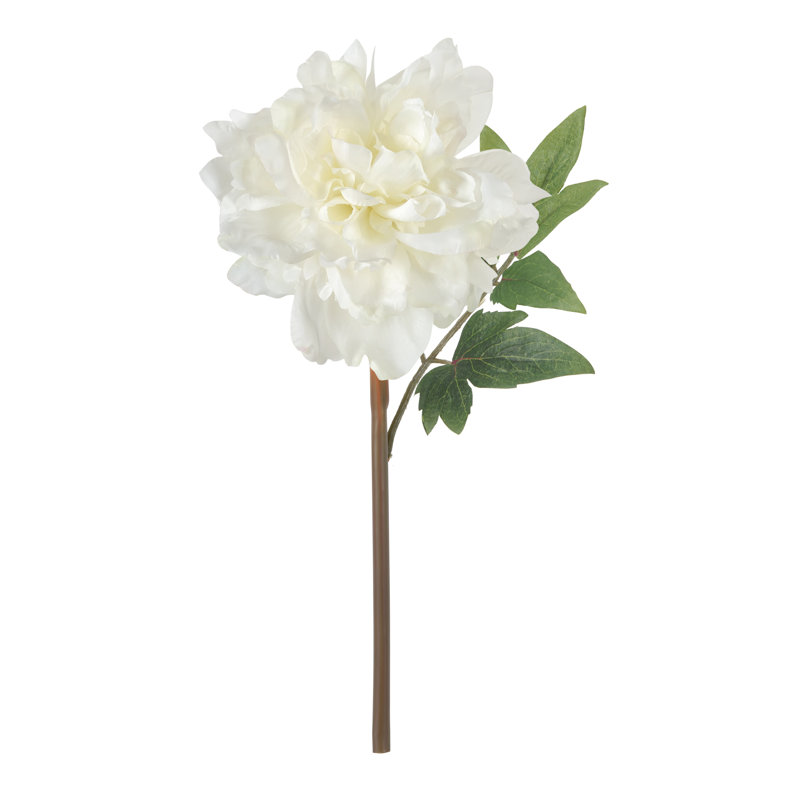 Tige de pivoine House of Hampton®, Blanc, H 14 po x l 8 po x P 5 po