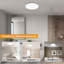 Plastic Semi Flush Mount