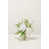 Muguet blanc est en rupture de stock