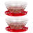 20-Piece Glass Bowls with Lids Set - Strawberry Design Mixing Bowls Set with Multiple Sizes