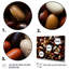 «Brown White Nuts Still Life», reproduction sur toile-112446698-112446672