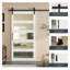 Portes de grange coulissantes en verre manufacturé 5-Lite-123038425
