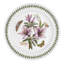 Botanic Garden 12 Piece Dinnerware Set